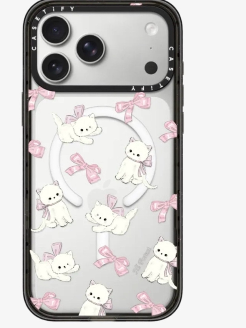 Casetify 17pro